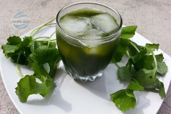 Nước rau má thanh nhiệt cơ thể