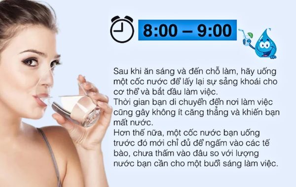 8-9 giờ sáng là thời gian uống nước trong ngày để tốt cho sức khỏe