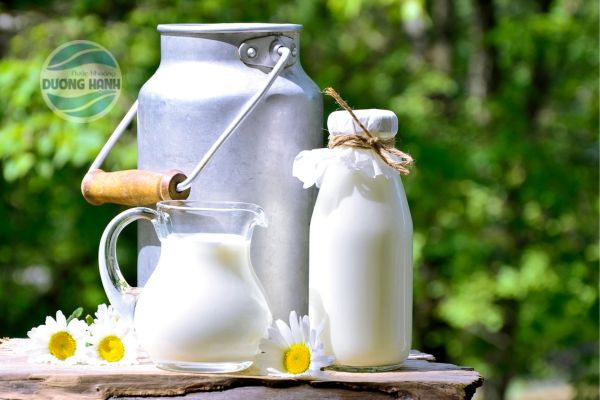 Các loại sữa ít béo làm giảm áp lực lên dạ dày